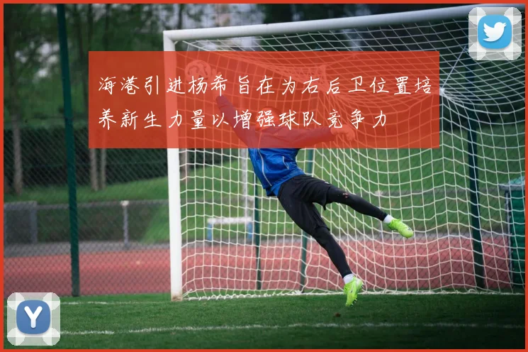海港引进杨希旨在为右后卫位置培养新生力量以增强球队竞争力