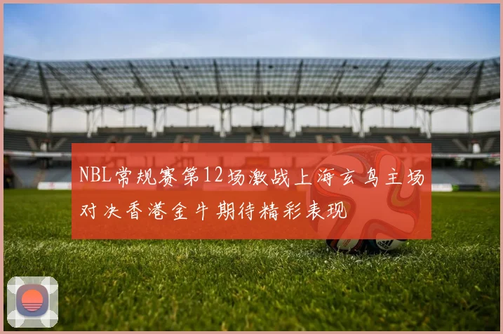 NBL常规赛第12场激战上海玄鸟主场对决香港金牛期待精彩表现